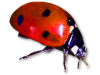 Captcha image 6200